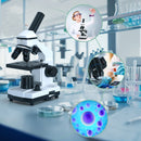 100X-2000X Compound Microscopes With Slides For Kid Students School Laboratory