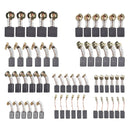 60Pcs Electric Motor Carbon Brushes 10 Sizes Replacement Repair Power Tool Part