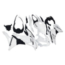 Kawasaki Ninja ZX-25R ZX-4R ZX-4RR 2019-2024 Fairing Kit