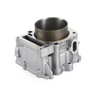 2001-2008 Yamaha YFM Grizzly Rhino 660 Raptor 660R Big Bore Top End Kit Cylinder