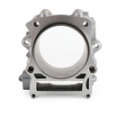 2001-2008 Yamaha YFM Grizzly Rhino 660 Raptor 660R Big Bore Top End Kit Cylinder