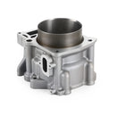 2001-2008 Yamaha YFM Grizzly Rhino 660 Raptor 660R Big Bore Top End Kit Cylinder