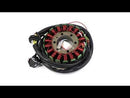 Areyourshop STATOR GENERATOR ALTERNATOR Fit for Honda RANGER 500 2x4 CARB 2005-2009 3089579