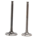 Intake Valve & Exhaust Valve For Suzuki DF 90 100 115 140 HP 4V 4T 2001-2014