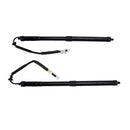 2018-2021 For Lexus NX 300h Premium Left + Right Tailgate Gas Struts 6892079020