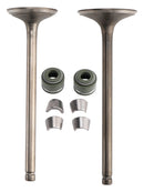 VALVE SET INLET & EXHAUST FOR CG200 GS200 DIRT BIKE POCKET BIKE ATV QUAD