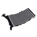 2019-2024 BMW F750GS Radiator Cooler Cooling