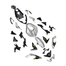 Injection Bodywork Fairing Kit for Street Triple 765 R/RS 2023-2025