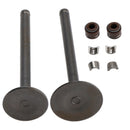 Intake Exhaust Valve Seal Set For Honda XR70R 97-03 CRF70F 07-12 CT70 91-94