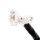 Stator Generator For Daelim S1 125 VJF125 Roadwin R VJF250 VL250 - EFI Models