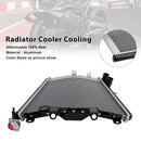 2023-2025 BMW M1000R Radiator Cooling Engine Cooler