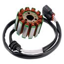 2008-2012 Yamaha FZ1 FZ1-NA FAZER Naked ABS Magneto Stator Flywheel Rotor Regulator Gasket Kit 2D1-81410-01-00