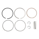 310cc Cylinder Jug Piston Top End Kit 79mm For Honda CRF250F CRF 250 F 2019-2025