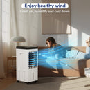 15L (4 Gal) Evaporative Cooling Fan with Anion Humidifier & Portable Remote Control