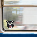 Sunglasses-wearing Border Collie Vinyl Stickers-Waterproof for Laptop Glass