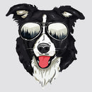 Sunglasses-wearing Border Collie Vinyl Stickers-Waterproof for Laptop Glass