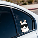 Alpaca wearing sunglasses Sticker Customizable Sunproof for Thermos Laptop