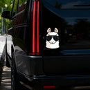 Alpaca wearing sunglasses Sticker Customizable Sunproof for Thermos Laptop