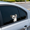 Animal Stickers Personalized Customizable for Refrigerator Car windows Wall