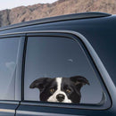 Border Collie Stickers Waterproof Personalized for Luggage Car windows Thermos