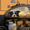 Border Collie Stickers Waterproof Personalized for Luggage Car windows Thermos