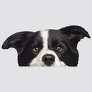 Border Collie Stickers Waterproof Personalized for Luggage Car windows Thermos