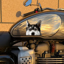 Siberian Husky Stickers Self-adhesive Sunproof for Luggage Car windows Laptop