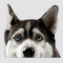 Siberian Husky Stickers Self-adhesive Sunproof for Luggage Car windows Laptop