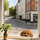 Teddy bear Dog Stickers Waterproof Self-adhesive for Refrigerator Luggage Window