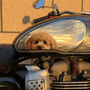 Teddy bear Dog Stickers Waterproof Self-adhesive for Refrigerator Luggage Window