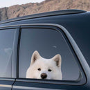Samoyed Dog Stickers Self-adhesive Personalized for Laptop Luggage Refrigerator