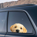 Labrador Retriever Stickers No bubbles Sunproof for Luggage Glass Laptop Wall