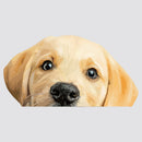 Labrador Retriever Stickers No bubbles Sunproof for Luggage Glass Laptop Wall
