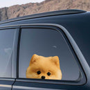 Pomeranian Dog Stickers Self-adhesive Customizable Sunproof for Laptop Wall
