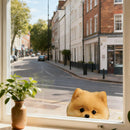 Pomeranian Dog Stickers Self-adhesive Customizable Sunproof for Laptop Wall
