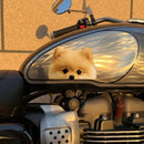 Pomeranian Dog Stickers Self-adhesive Customizable Sunproof for Laptop Wall