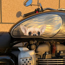 Chihuahua Dog Stickers Customizable No bubbles for Luggage Thermos Car windows