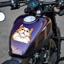 Stunned Kitten Sticker Self-adhesive Personalized for Car windows Motorcycle