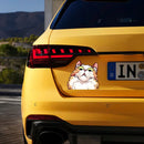 Stunned Kitten Sticker Self-adhesive Personalized for Car windows Motorcycle