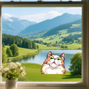 Stunned Kitten Sticker Self-adhesive Personalized for Car windows Motorcycle