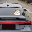 Stunned Kitten Sticker Self-adhesive Personalized for Car windows Motorcycle