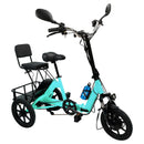 Three Wheel Electric Tricycle for Adults 3 Wheel Motorized Folding E-Bike