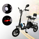 Three Wheel Electric Tricycle for Adults 3 Wheel Motorized Folding E-Bike