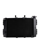 Radiator Cooling Engine Cooler For Daytona 660 2024-2025