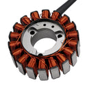 2004-2006 Honda PS250 Big Ruckus 250 (MF-09) Stator Generator 31120-KTB-771 31120-KTB-008