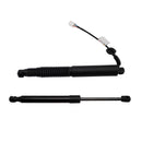 2021-2023 Tesla Model 3 2PCS Power Tailgate Power Lift Support Struthz