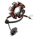 8 Poles Stator Generator 21003-0040 For KAWASAKI FURY 125 125R AX125 2010