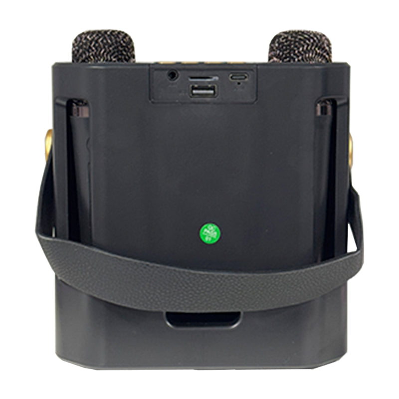 Wireless Bluetooth Speaker Dual Microphone Karaoke Home Theater All-in-One Audio