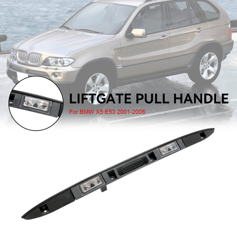 Trunk Lid Licence Plate Grip With Key Button 51137170676 Fit BMW X5 E53