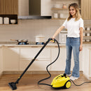 2000W High Pressure Steam Cleaner Household Car Steam Cleaner Cleaning Machine